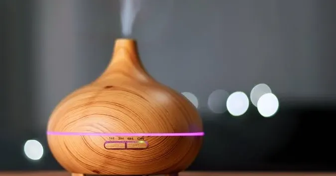 What Does a Humidifier Do? (Why You Need It)