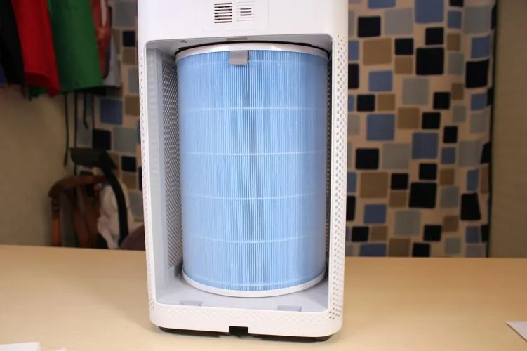 What Does an Air Purifier Do? (Does it Work?)